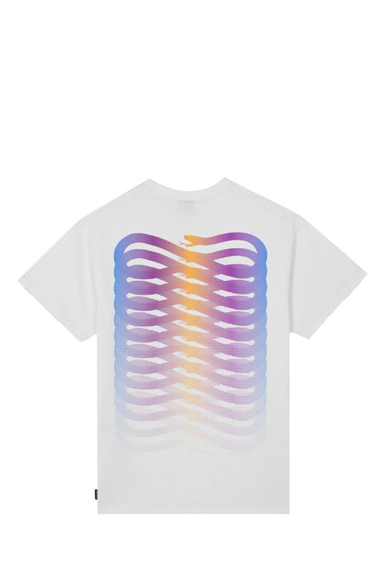 RIBS GRADIENT TEE PRTS858 62908_8427 BIANCO-BIANCO MAN